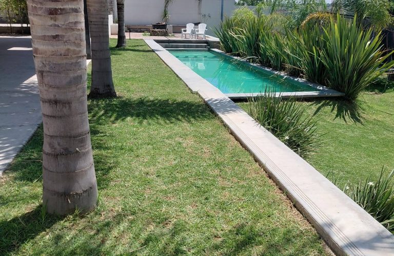 palapa las palmas3.jpg