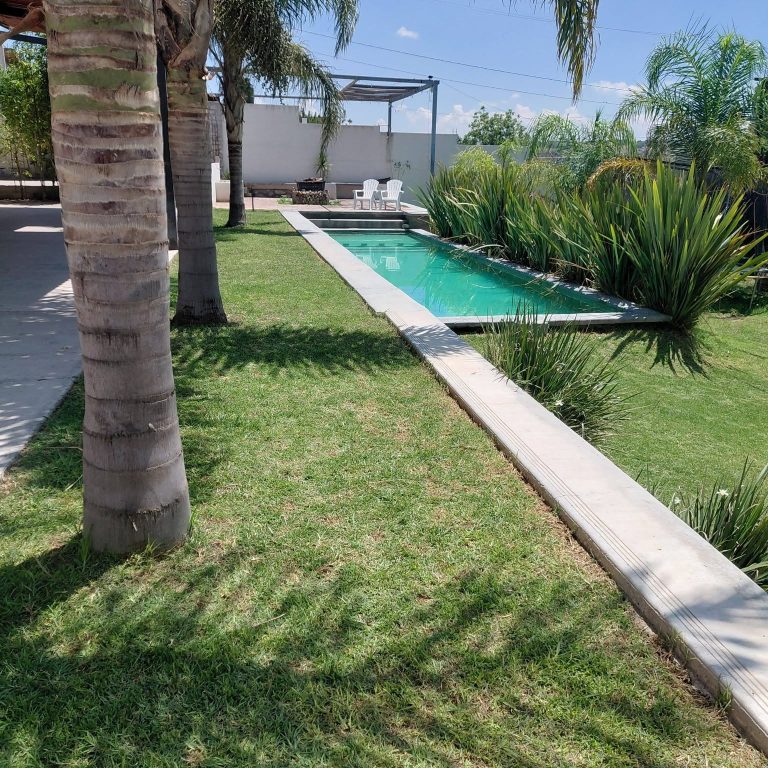 palapa las palmas3.jpg